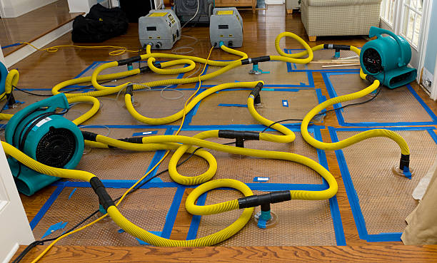 Professional Storm Water Damage Restoration technician working in Victoria, MS